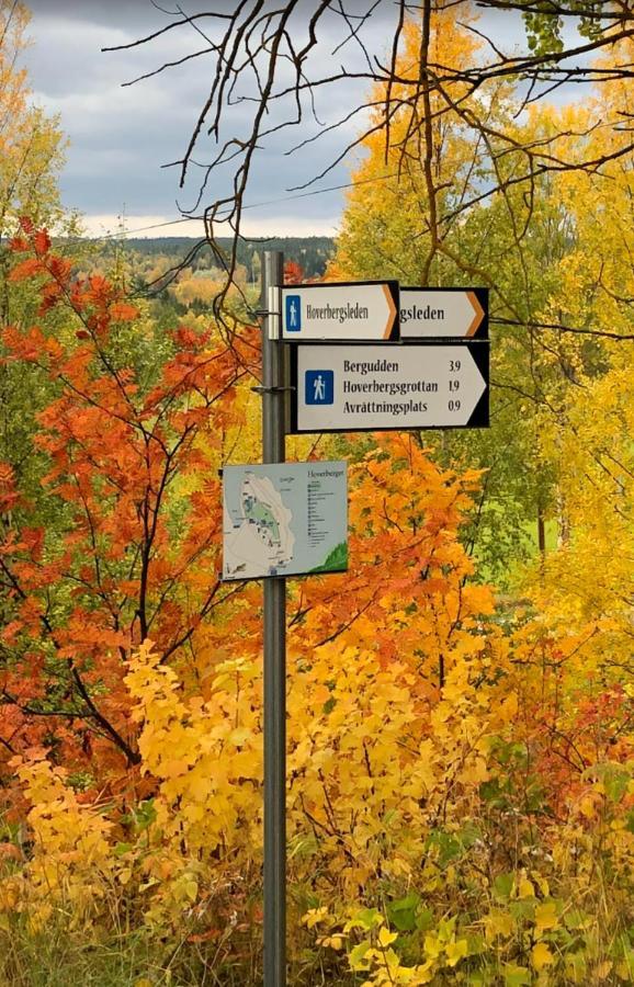 Strandgarden Hoverberg. Svenstavik Kültér fotó